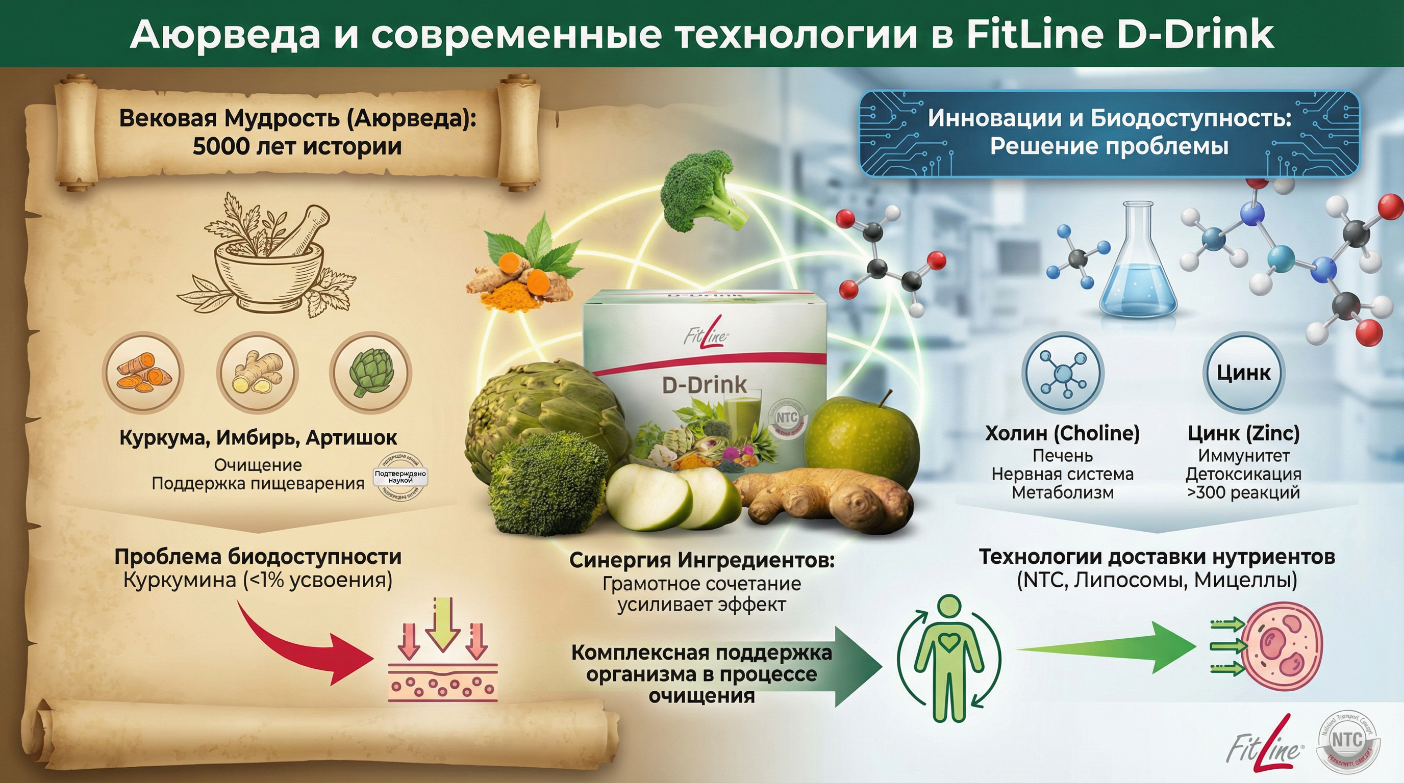Аюрведа и современные технологии в FitLine D-Drink