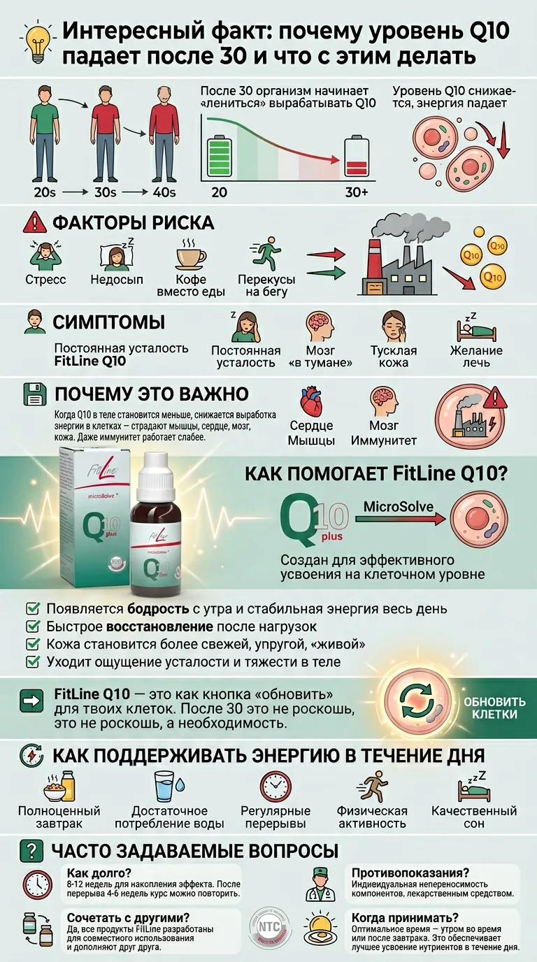 Интересный факт: почему уровень Q10 падает после 30 и что с этим делать