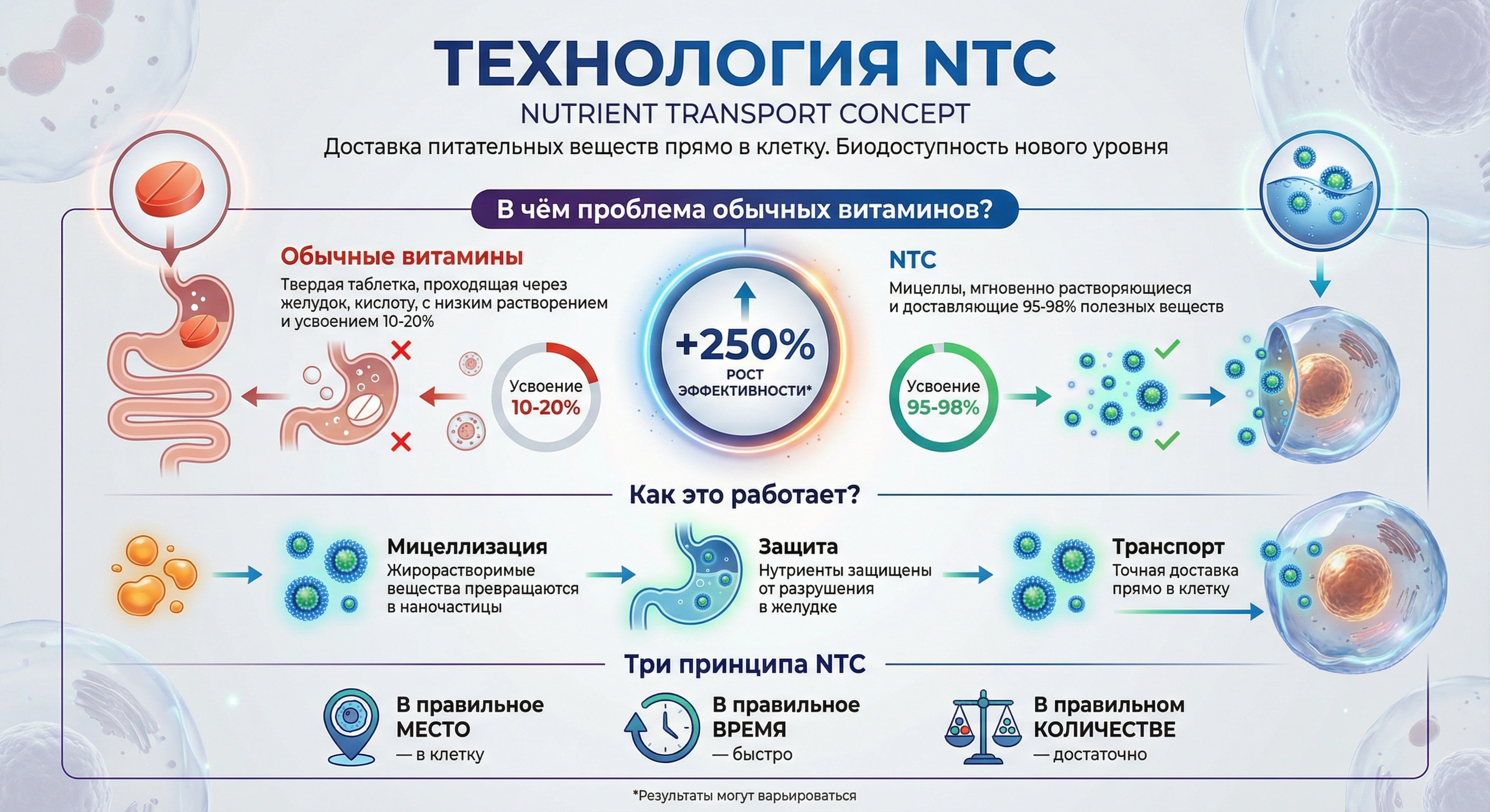 NTC-технология: как работает транспорт нутриентов