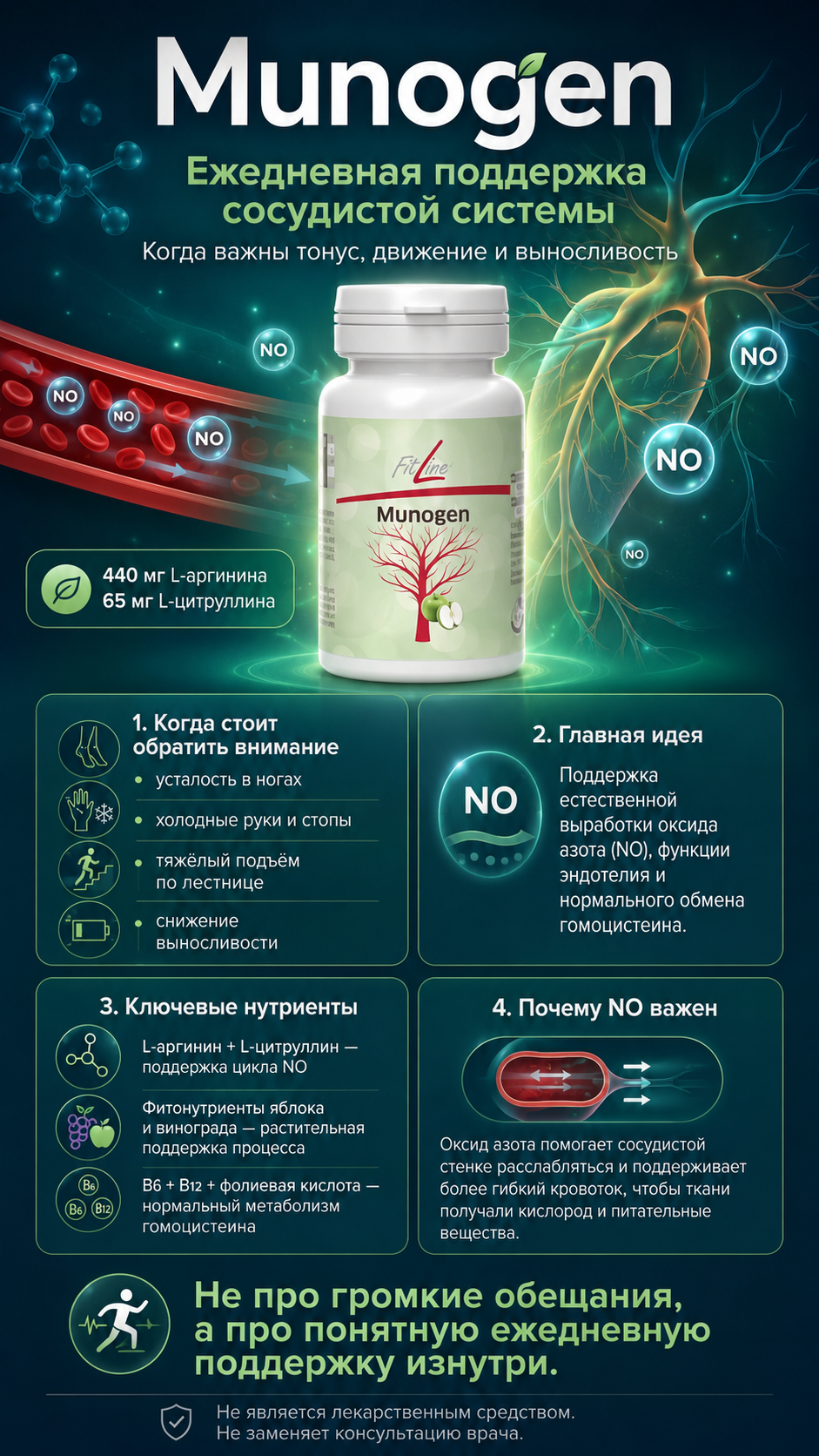 Сосуды, которые несут жизнь