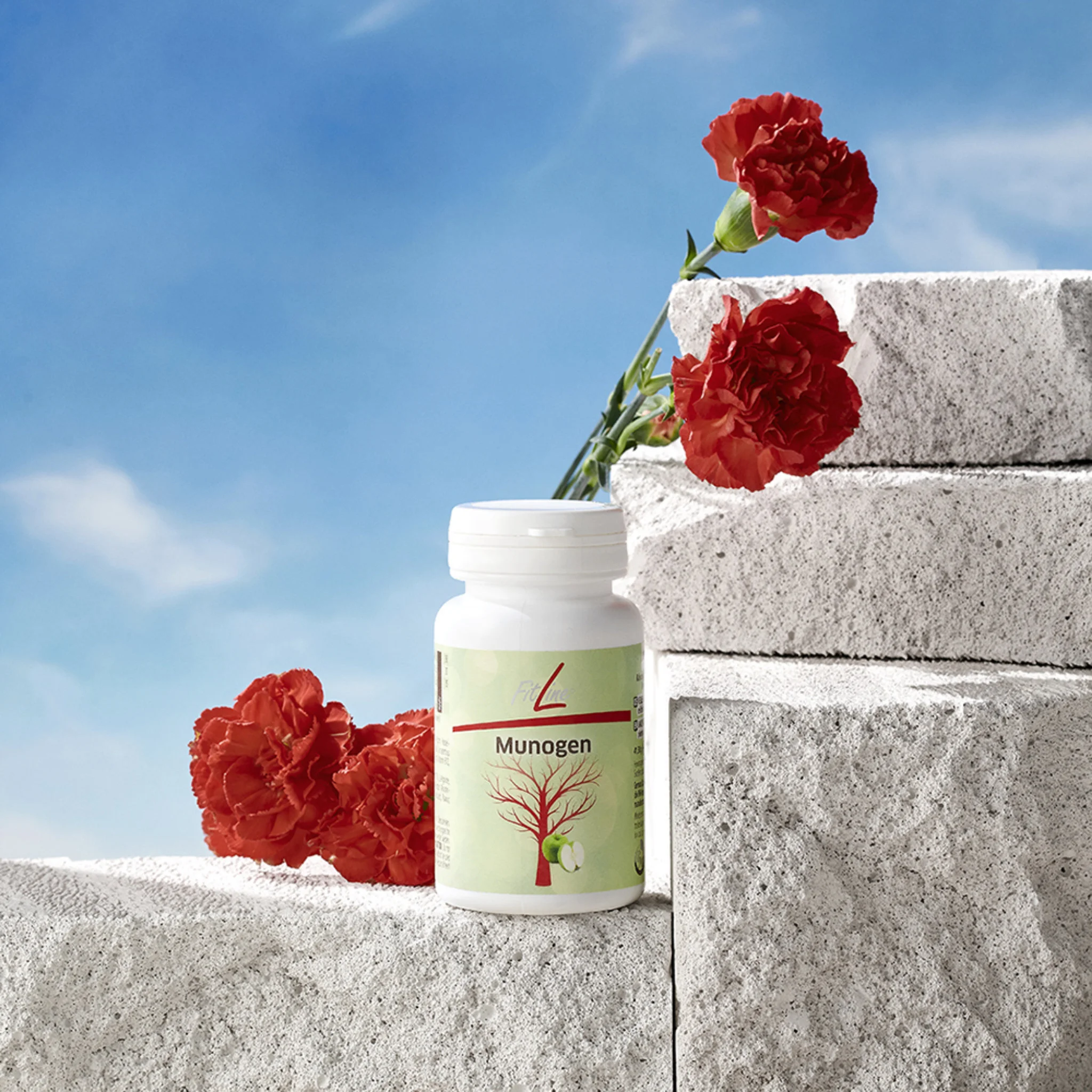 Munogen фото 2