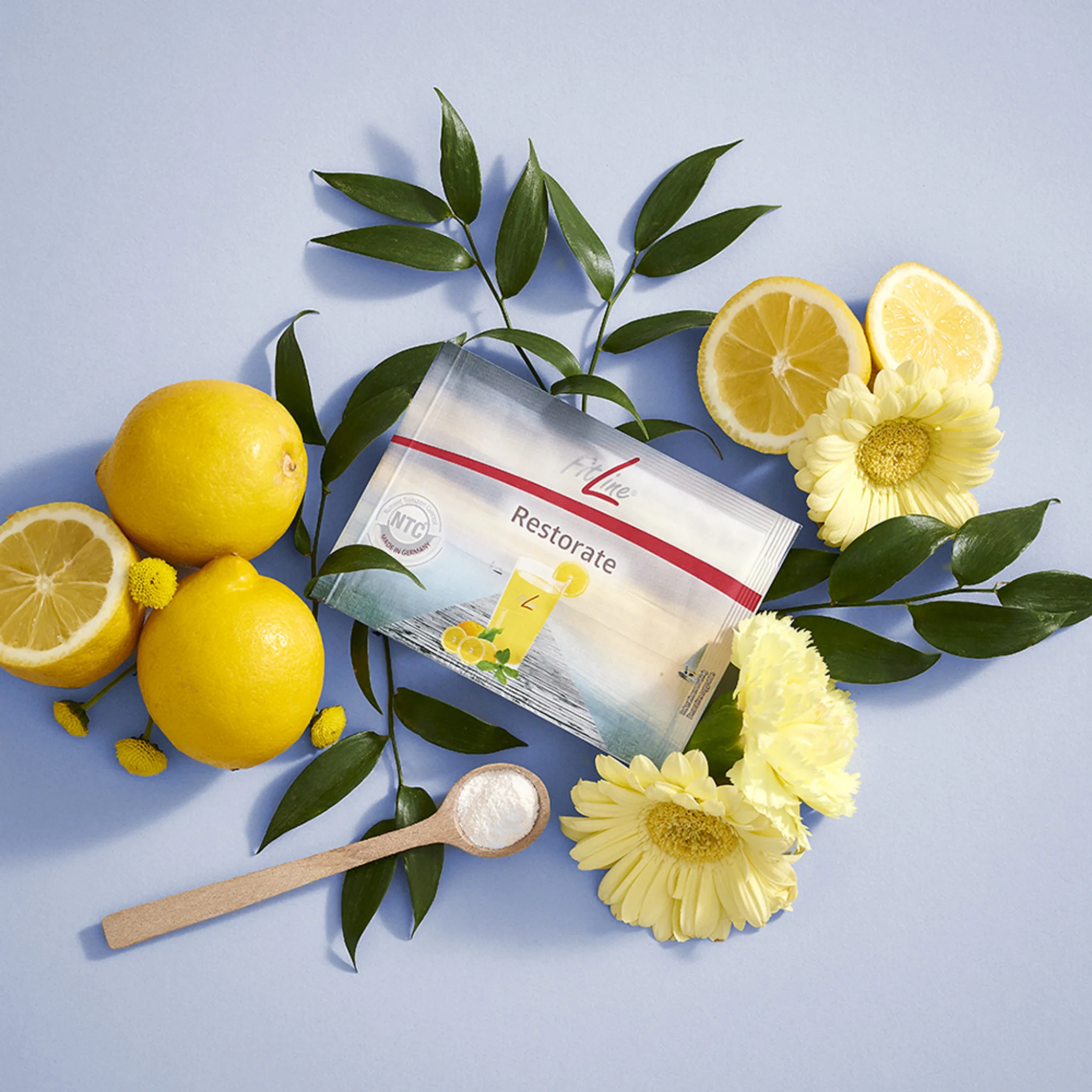 restorate фото 2